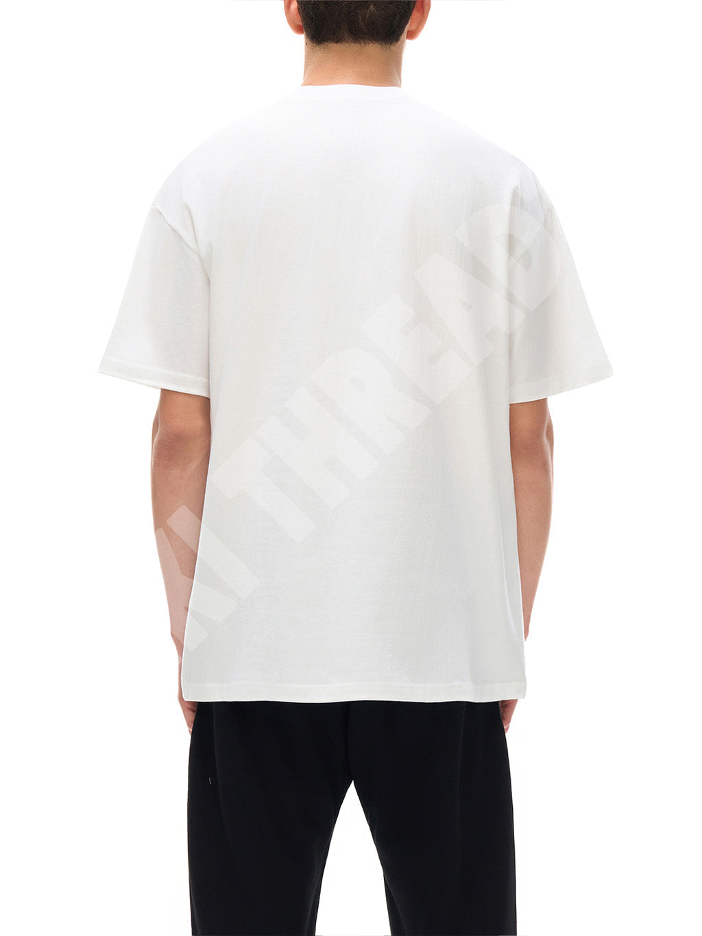 JJBA Steel Ball Run x Nadie Sabe (White) | Unisex Oversized Cotton T-Shirt